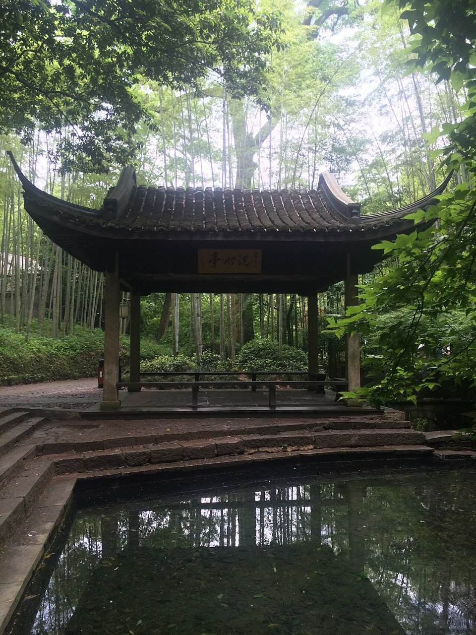 Bamboo Forest at Yunqi 3