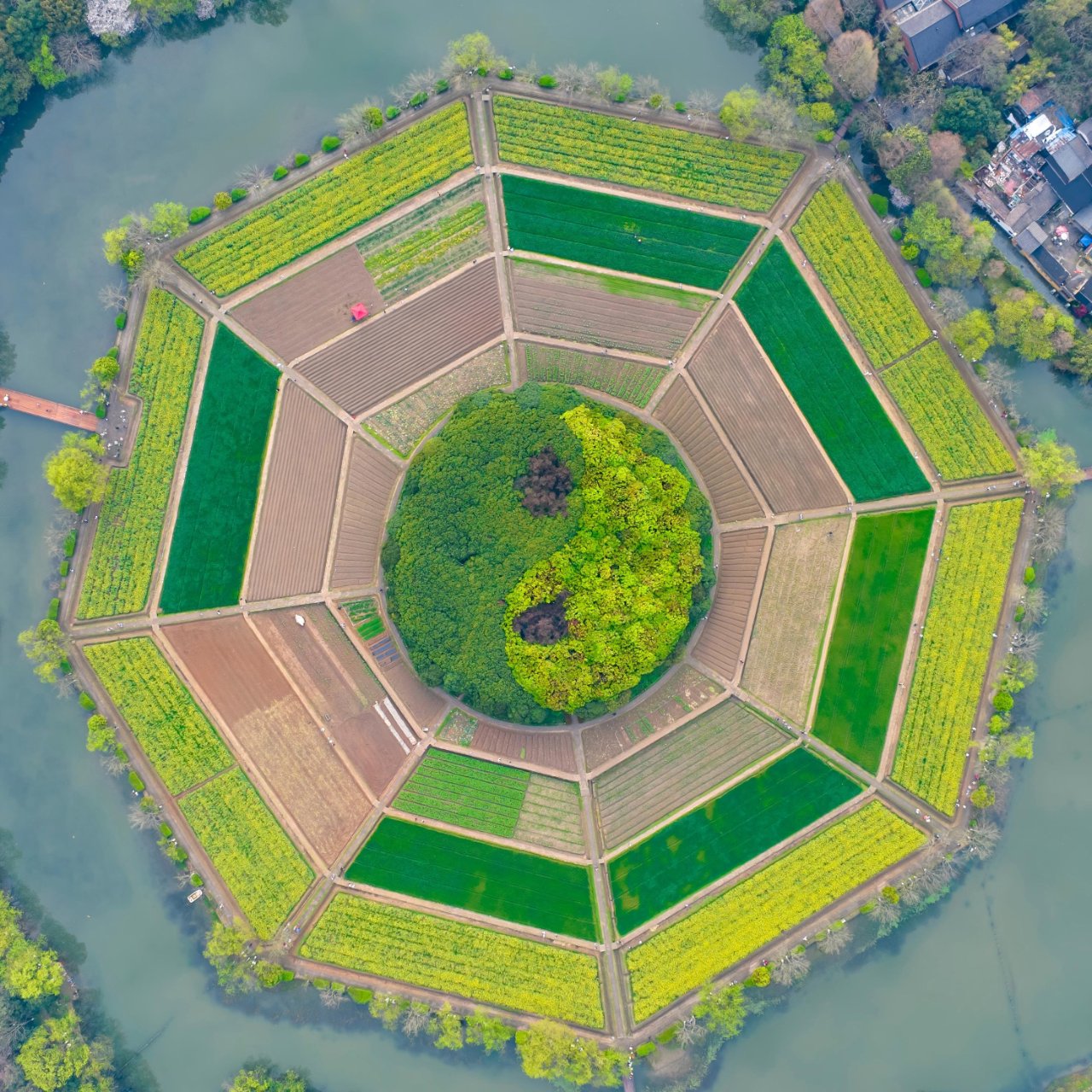 Eight Trigrams Field 3