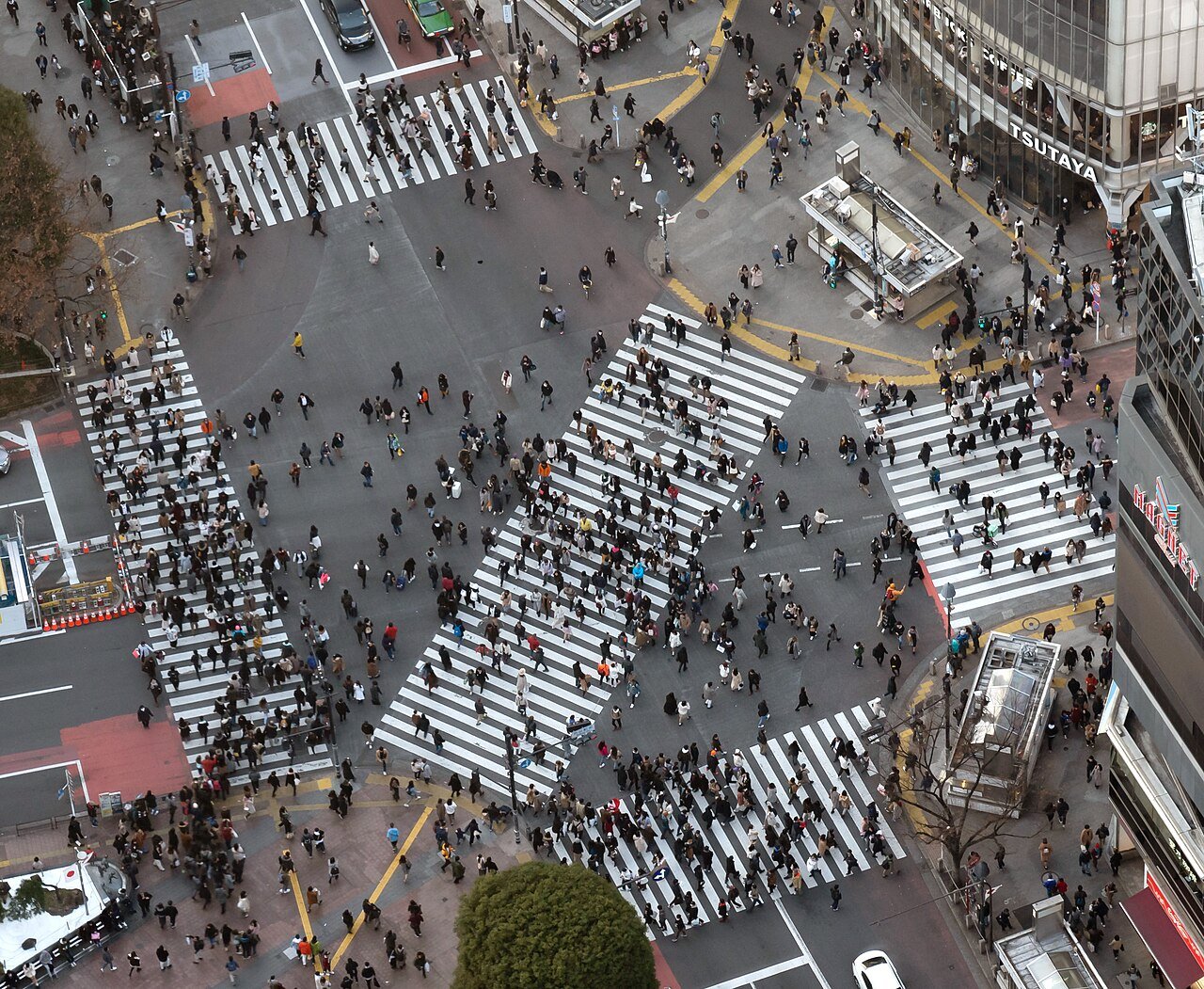 Shibuya Crossing 3