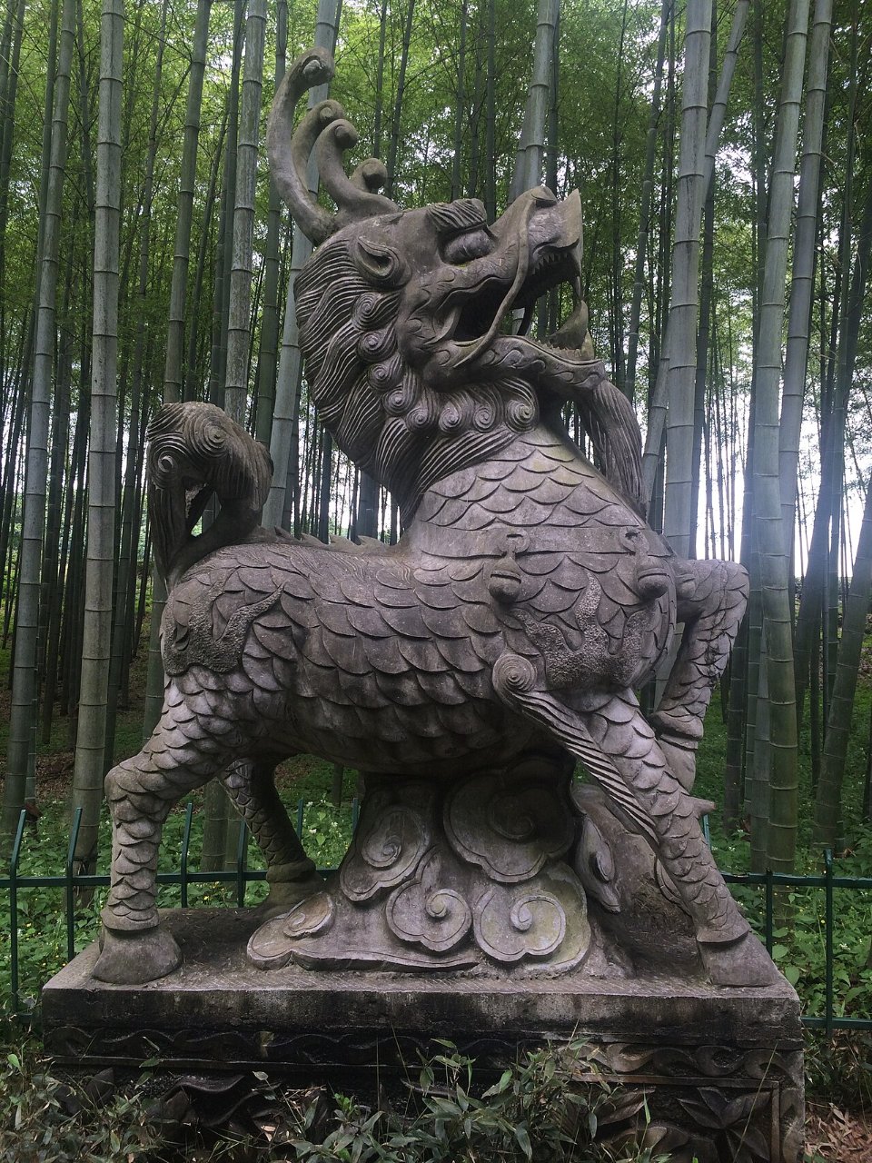 Bamboo Forest at Yunqi 2